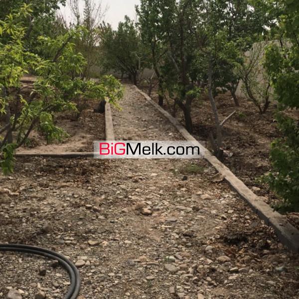 باغچه درمنطقه گردشگری یوسف رضاداخل شهرک