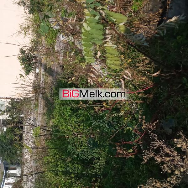 فروش زمین ۲۶۰ متری جنب مجتمع امپراتور