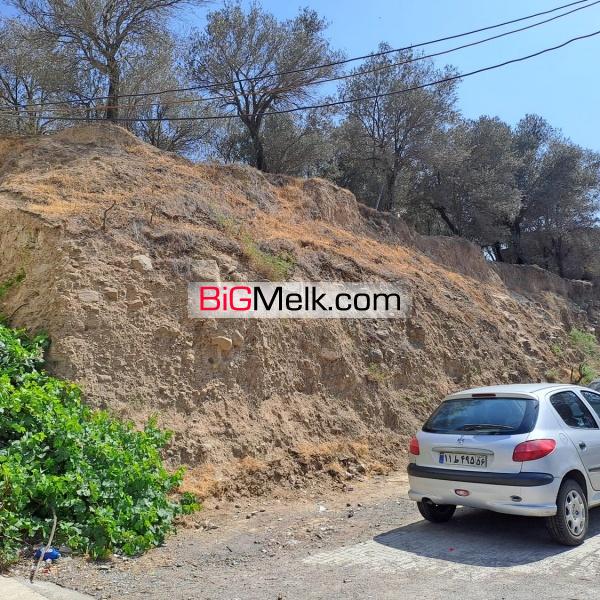 1370 متر باغ زیتون بر اتوبان قزوین رشت