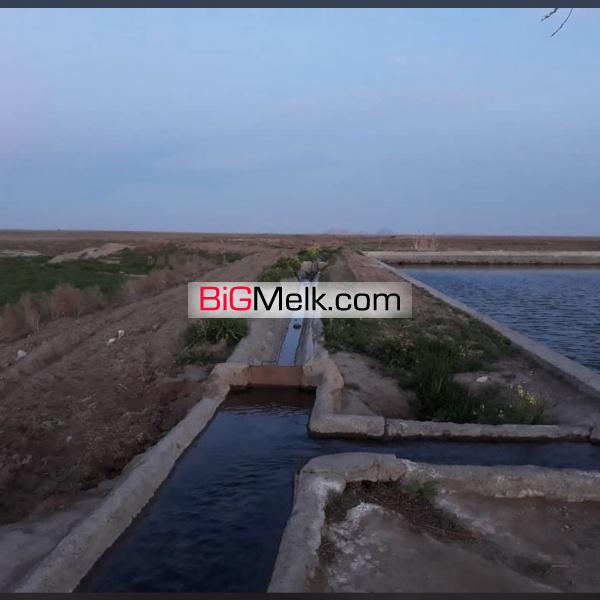 زمین کشاورزی ۲۵ هکتار با ۴۸ ساعت سهم آبه