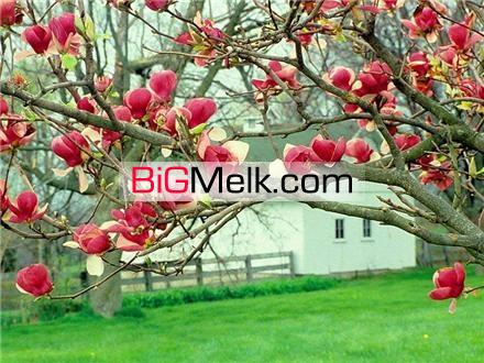 فروش زمین کشاورزی در مرودشت | فارس