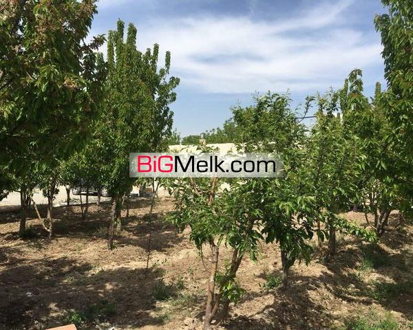 فروش باغ ویلا قابل سکونت در قشلاق ملارد کد 1471