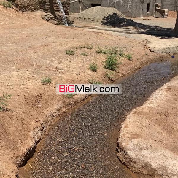 باغ پسته چهار دیواری 2 هزار متری در ملارد