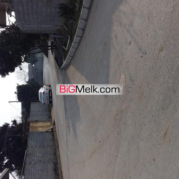 باغچه ۶۵۴ متری درشمال