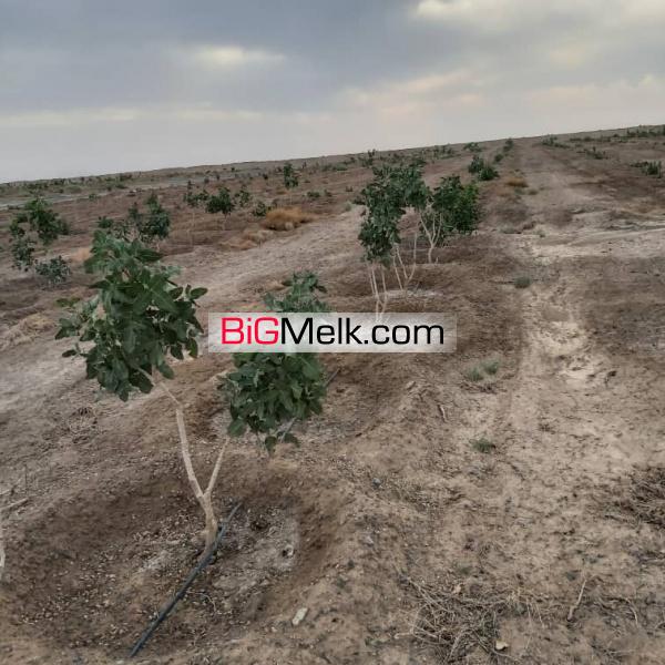 فروش 87 هکتار مزرعه در اصفهان