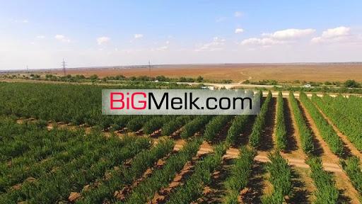 فروش زمین به صورت باغ و صنعتی در نیشابور