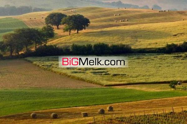 فروش زمین کشاورزی در قم دشت طغرود