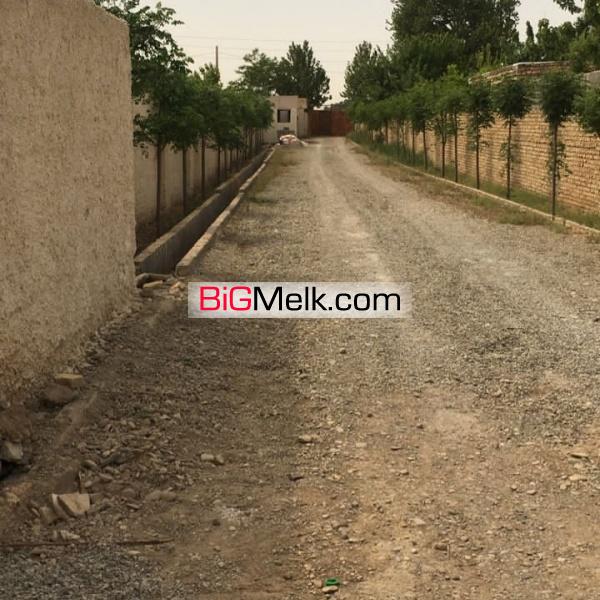 باغچه درمنطقه گردشگری یوسف رضاداخل شهرک