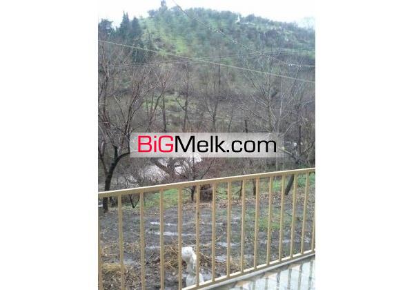 باغ زیتون و ویلا در کنار رودخانه در منطقه گردشگری گیلان