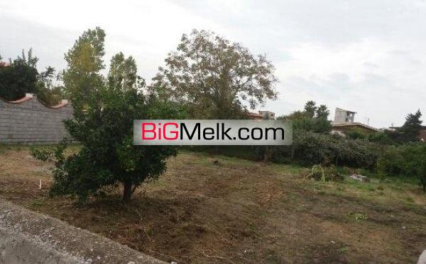 2قطعه زمین 400 و 330متری داخل شهر | مازندران، عباس اباد