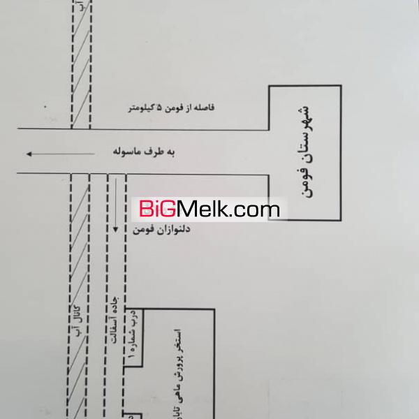 فروش اسخرپرورش ماهی