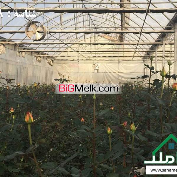 فروش گلخانه با تجهیزات اسپانیایی
