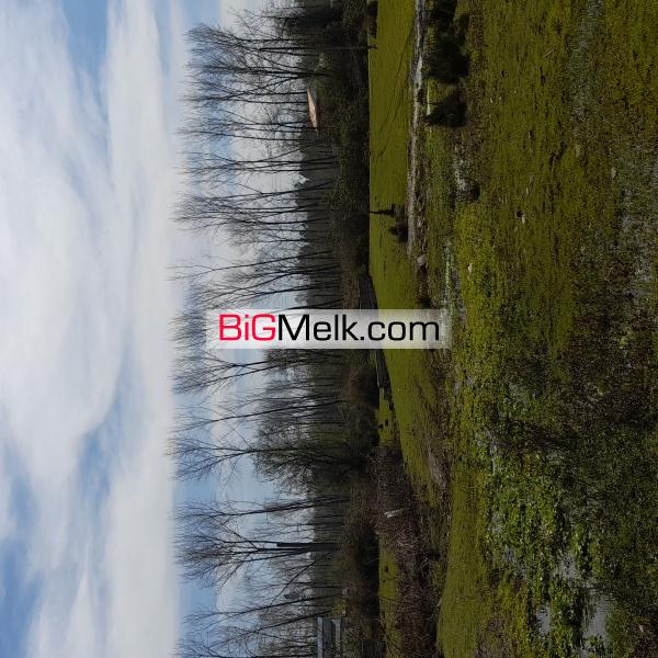 معاوضه زمین مسکونی در پره سر گیلان