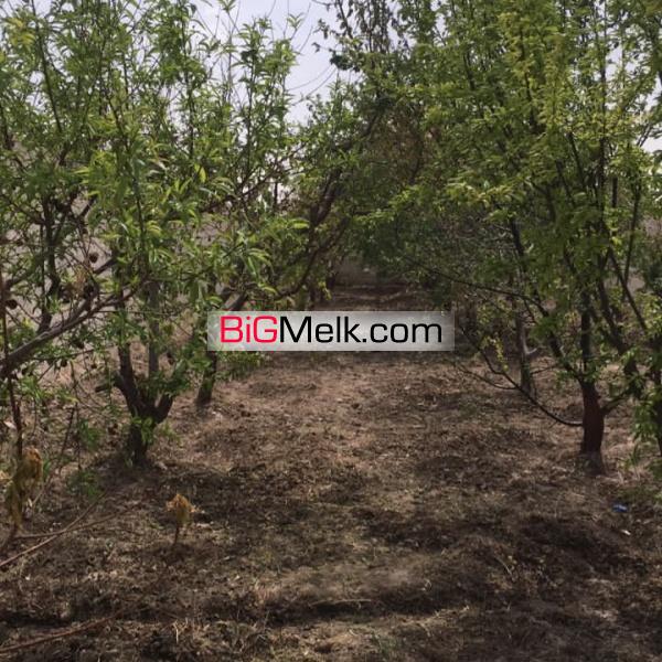 باغچه درمنطقه گردشگری یوسف رضاداخل شهرک