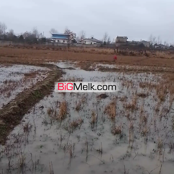 فروش فوری زمین کشاورزی سنتی (روستای عثماوندان)