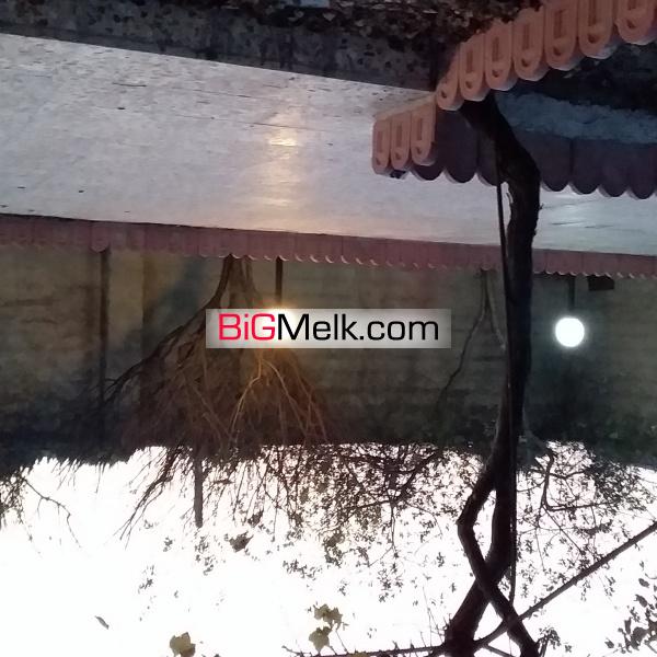 باغچه ۶۵۴ متری درشمال