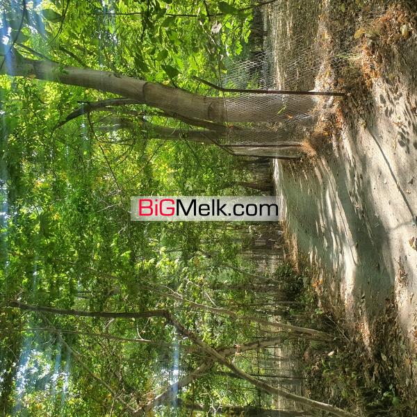 باغ گردو نزدیک زاینده رود