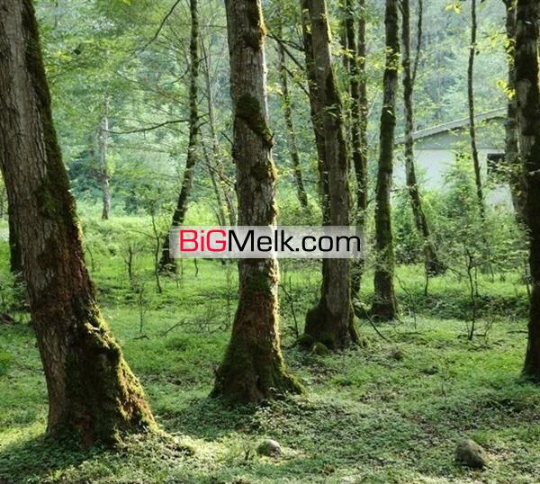 150هزارمتر زمین باستی هیلز