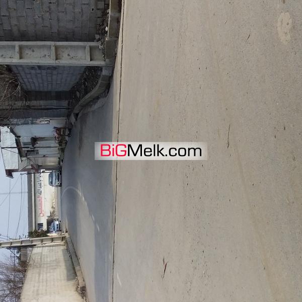 باغچه ۶۵۴ متری درشمال