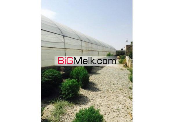 5600 متر باغ به همراه 4500 متر گلخانه | رباط کریم، پرندک