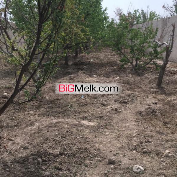 باغچه شهرکی درمنطقه گردشگری یوسف رضا