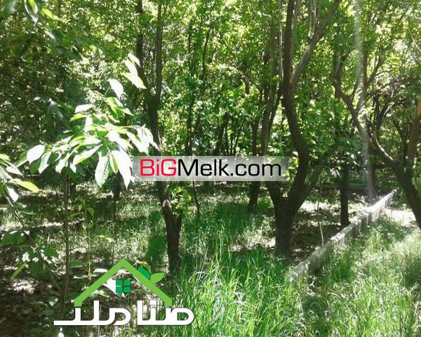 فروش باغ با بنای قدیمی در ملارد کد1181