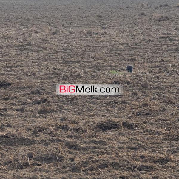 زمین کشاورزی باغی 130 هکتاری دارای چاه آب