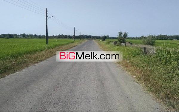 زمین 752 متری حومه لاهیجان | لاهیجان، بیربنه