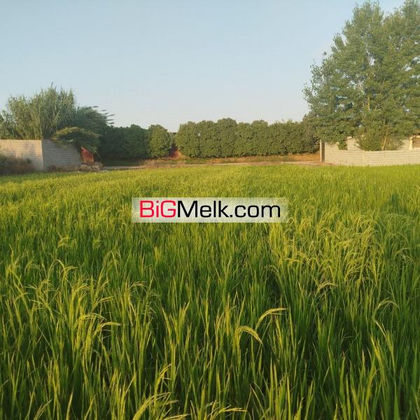 فروش زمین کشاورزی بابلسر