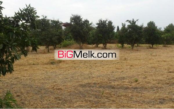 زمین اکازیون برای باغ و ساخت ویلا 2400 متر