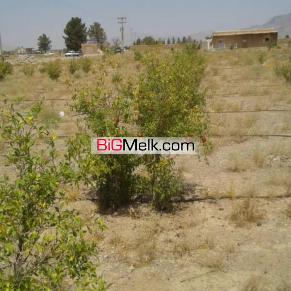 باغ انار درمهیار اصفهان