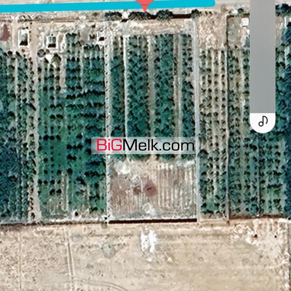 بهتری زمین با بهترین قیمت۳۶۰۰ متر
