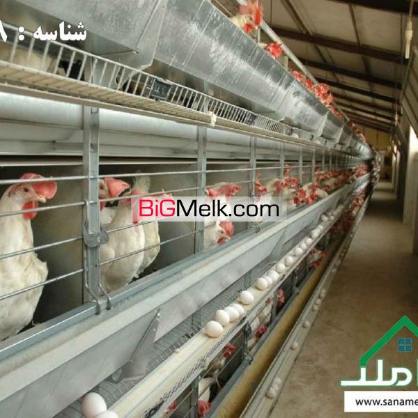 فروش مرغداری همراه با ویلا و امکانات در ماهدشت