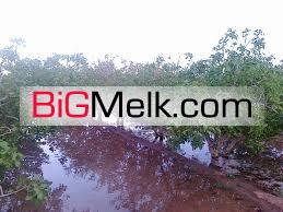 فروش یک زمین کشاورزی بهمراه گاوداری در بوئین زهرا
