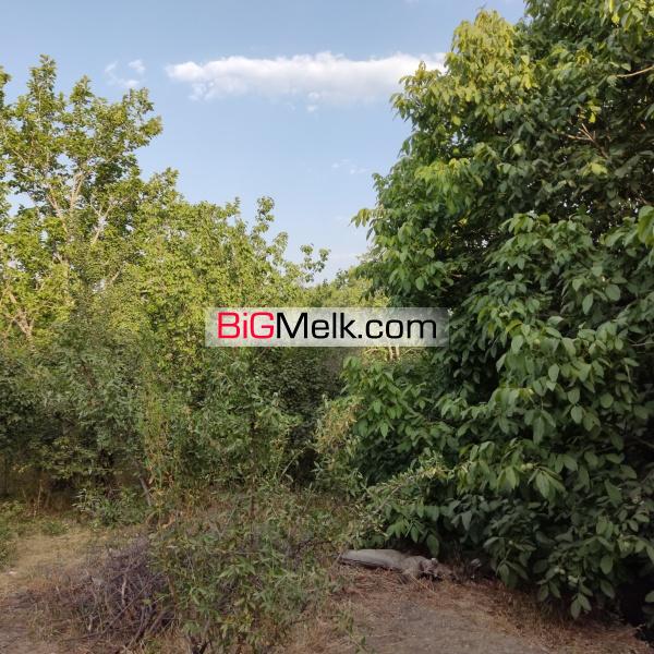 2700 متر زمین با درختان میوه، روستای نایه، خلجستان قم