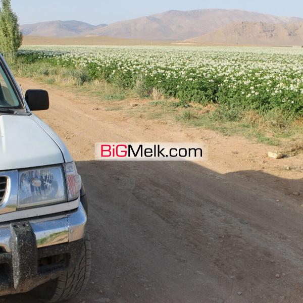 فروش زمین کشاورزی بارانی