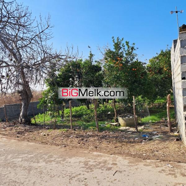 زمین باغ مسکونی