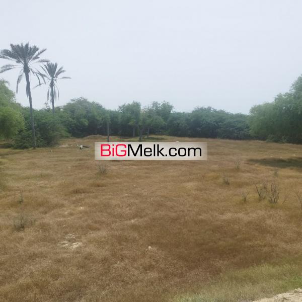 زمین مناسب برای بوم گردی و گردشگری