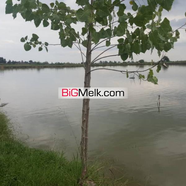 فروش اسخرپرورش ماهی