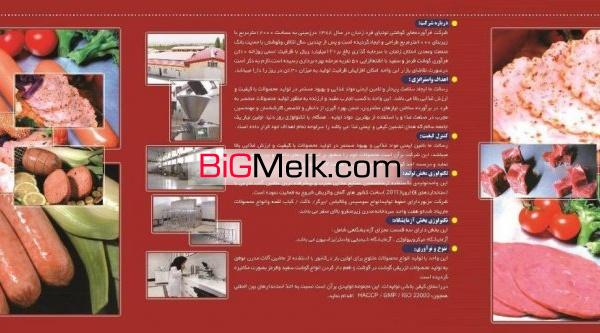 کارخانه ی کالباس و برگر سازی منظوری فروشی