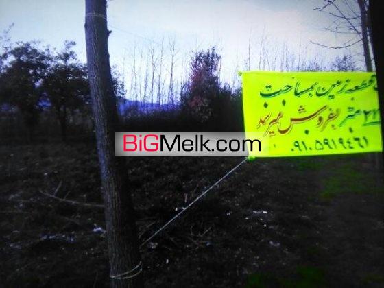 زمين چاي به متراژ277 | لنگرود، دریاسر