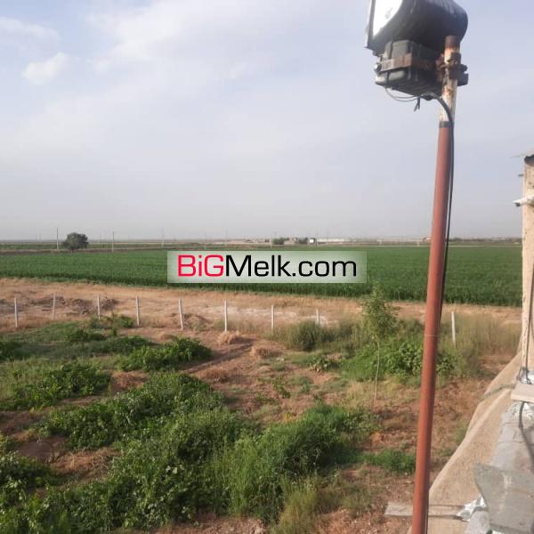 مزرعه کشاورزی ۵۰هکتاری و گاوداری