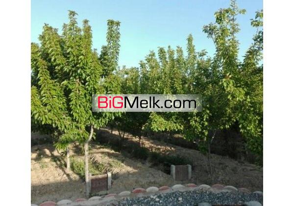 استثنایی رهن باغ در قهدریجان 750 متر