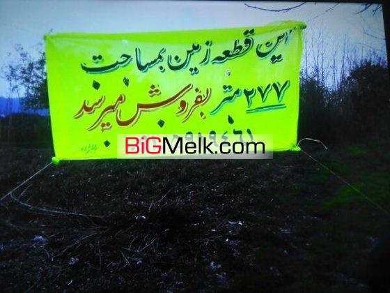 زمين چاي به متراژ277 | لنگرود، دریاسر
