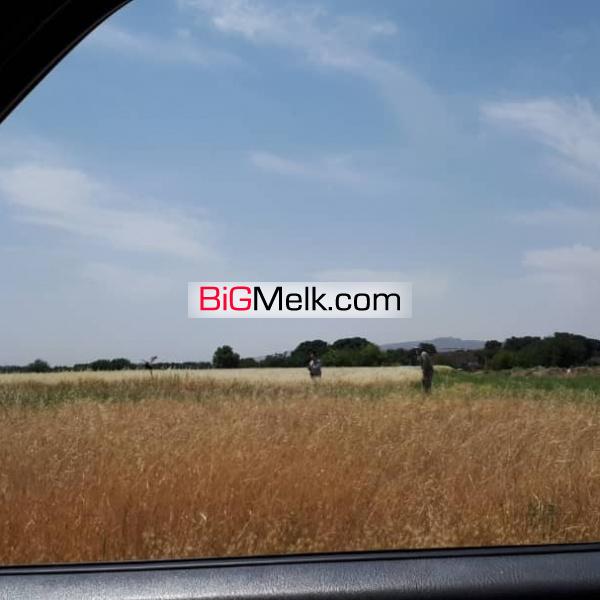 زمین کشاورزی در چهاردانگه تهران