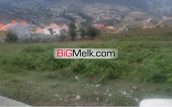 زمین جنگلی بهشت گمشده نور | مازندران، چمستان