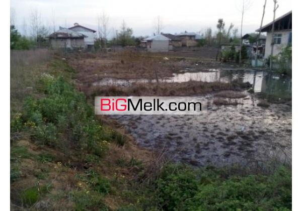 زمین 1000متر | گیلان، رشت