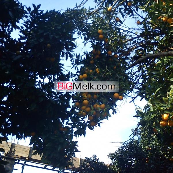 فروش ویلا دوبلکس زیباکنار گیلان