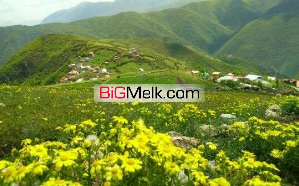یک قطعه زمین | آلاشت، روستای لیند