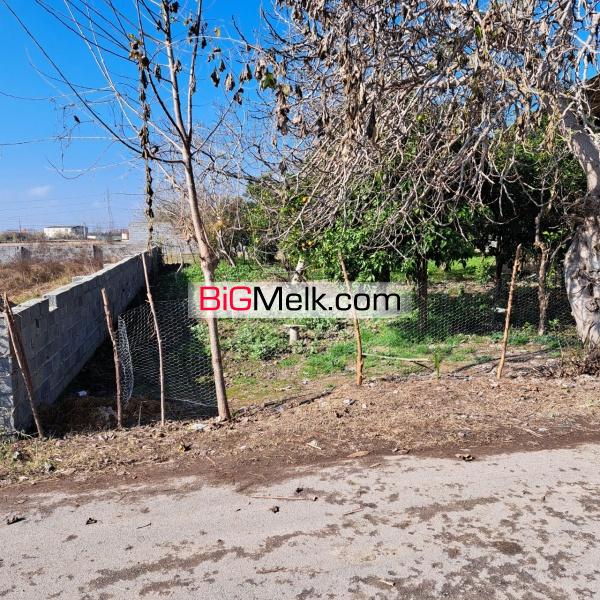 زمین باغ مسکونی